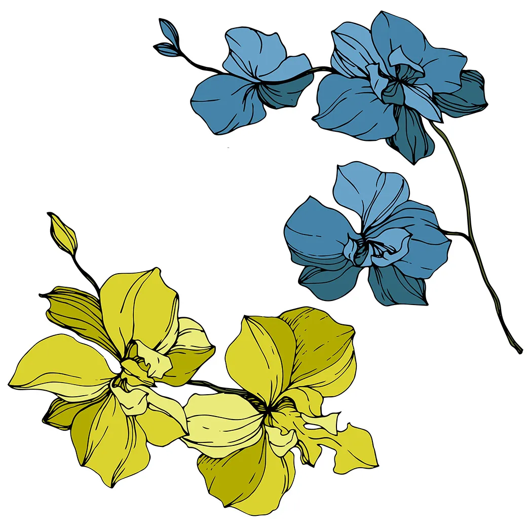 drawing of yellow and blue orchids